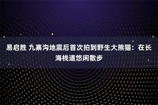 易启胜 九寨沟地震后首次拍到野生大熊猫：在长海栈道悠闲散步